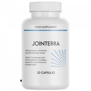 Jointerra